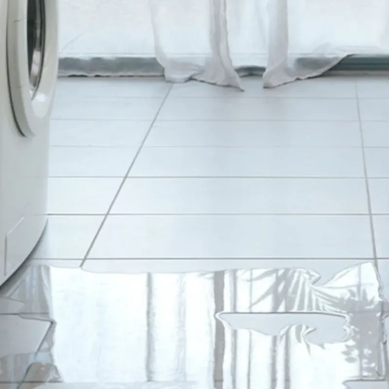 Appliance Leak Cleanup in Knox County, TX