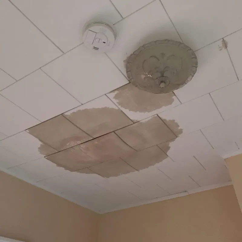 Ceiling Water Damage Repair in Knox County, TX