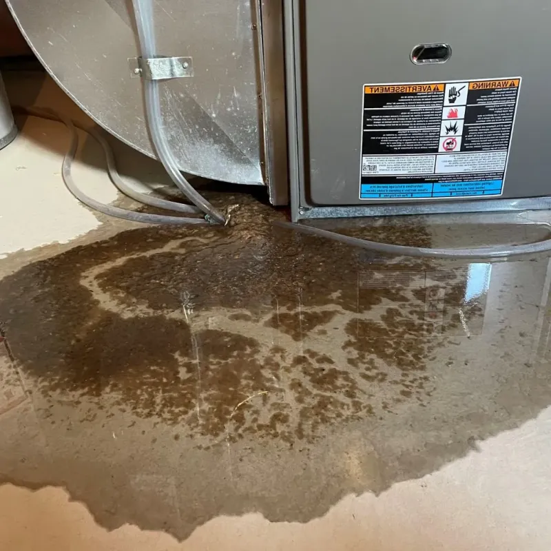Pipe Burst and Leak Restoration in Knox County, TX