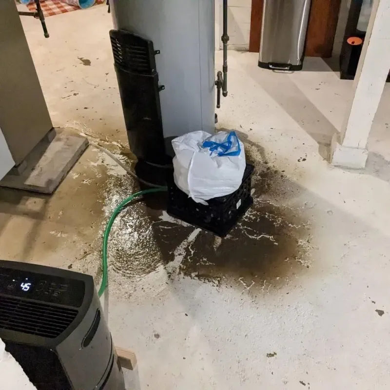 Sewage Backup Cleanup Service in Knox County, TX